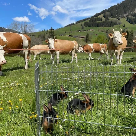 Alpenchalet Spiher Parterre By Interhome גשטאט